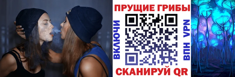 Псилоцибиновые грибы GOLDEN TEACHER  hydra ТОР  Бузулук 