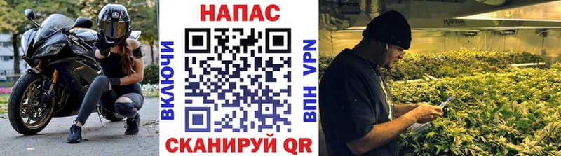 где можно купить   Бузулук  Конопля семена 